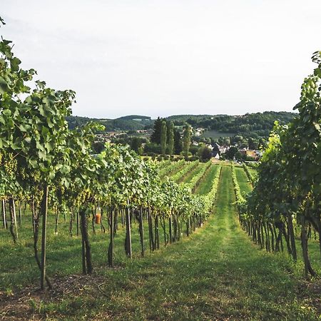 Wein & Gaestehof Erlacher Hartmannsdorf Kültér fotó