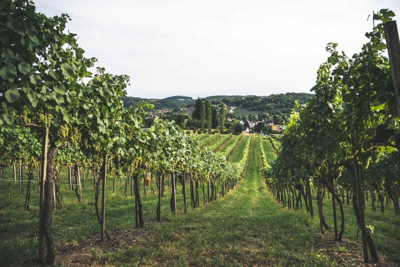 Wein & Gaestehof Erlacher Hartmannsdorf Kültér fotó